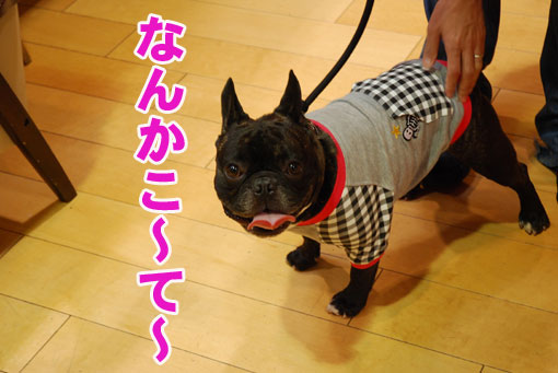 小太郎