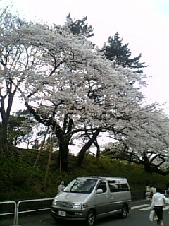 20070402_273016.jpg