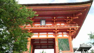 20110623.jpg