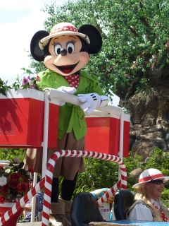 DISNEY WORLD