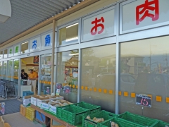 gssh入口