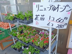 お花コーナー