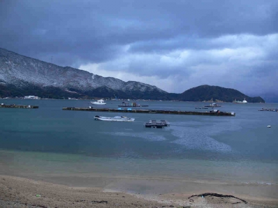 今日の海