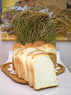こまち食パン