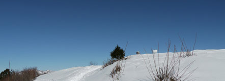 蕪山