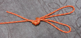 rabbit_ear