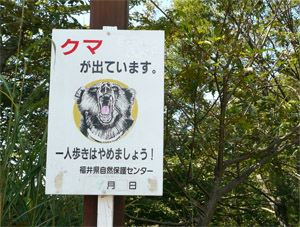 クマ出没注意