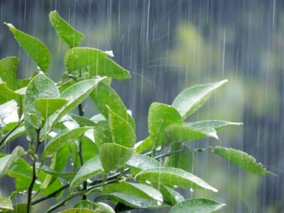 大雨でハンガーが・・・