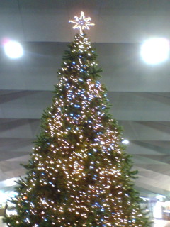 20081207182022.jpg