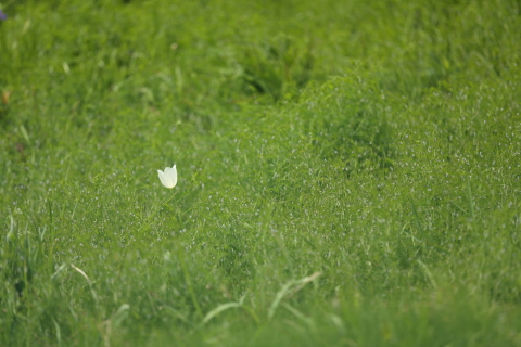 20170518
