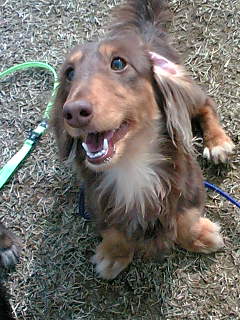 20060225_12058.jpg