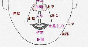 法令線