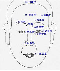 人相学