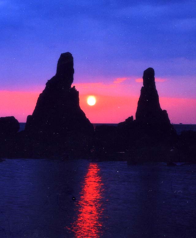 ¶¶¹º´ä2