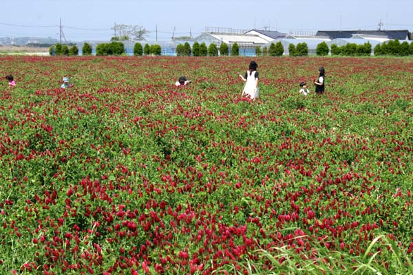 19年05月13日の記事 ガンタロー旅日記