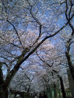 100403_1514~0001.jpg