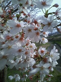 100409_1621~0002.jpg