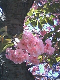 100425_1345~0002.jpg
