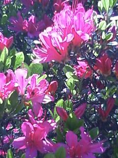 100425_1352~0001.jpg