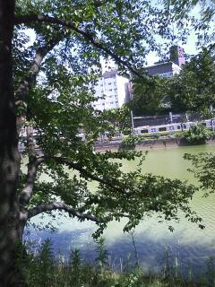 100719_1352~0002.jpg