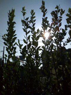 100904_0722~0002.jpg