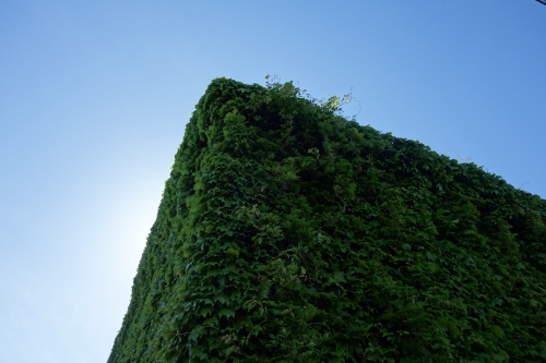 DSC02535.JPG