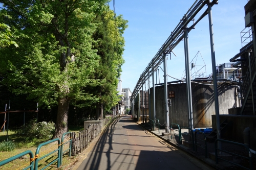 DSC02552.JPG