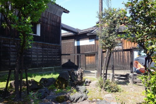 DSC02560.JPG