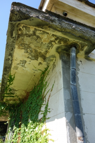 DSC02626.JPG
