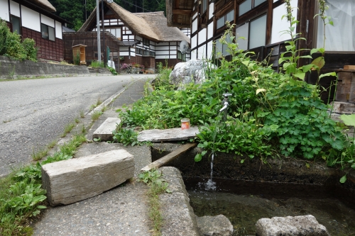DSC02748.JPG