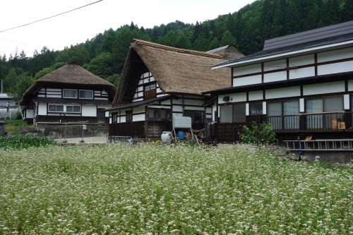 DSC02764.JPG