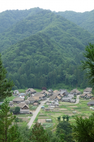 DSC02771.JPG