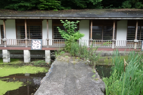 DSC02783.JPG