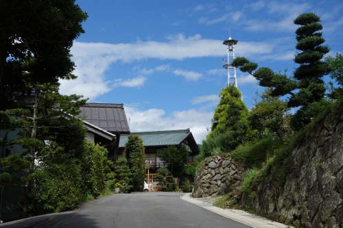 DSC02878.JPG