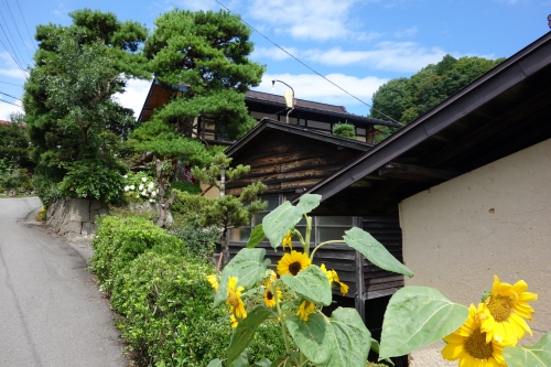 DSC02881.JPG