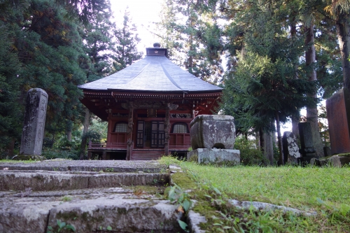 DSC02954.JPG
