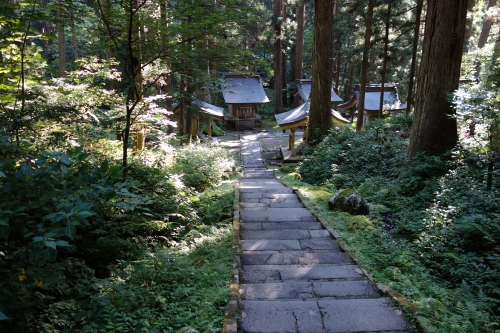 DSC02958.JPG