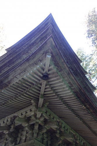 DSC02964.JPG