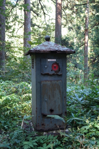 DSC02971.JPG