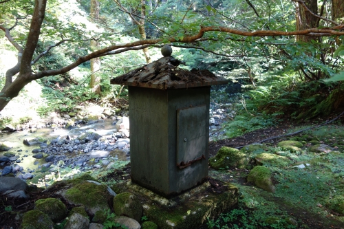 DSC02973.JPG