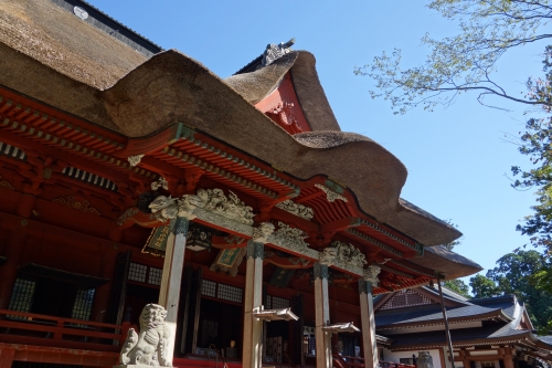 DSC02980.JPG