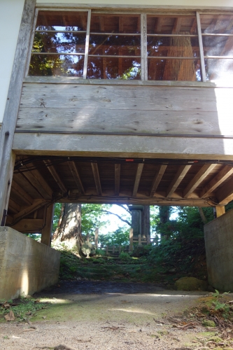 DSC02982.JPG
