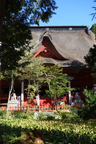 DSC02987.JPG