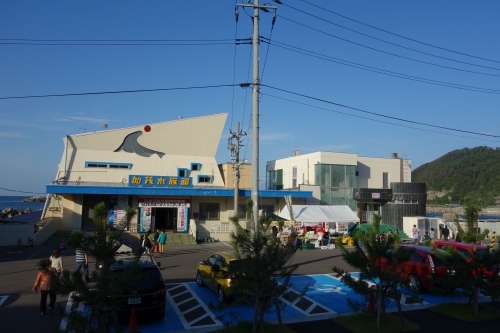 DSC03137.JPG