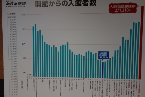 DSC03138.JPG