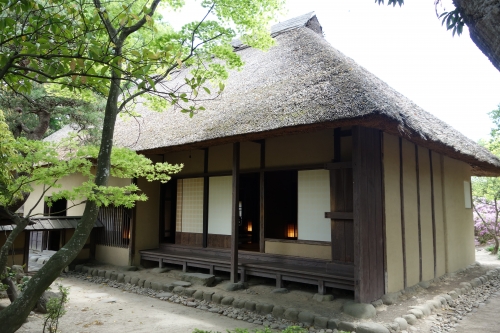 2015-05-10 00.20.49.jpg