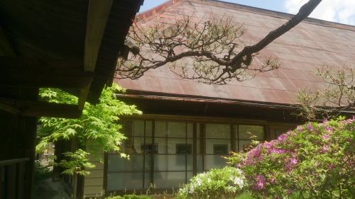 2015-05-10 10.13.58.jpg