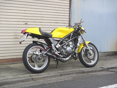 SPtadao ジャッカル SDR