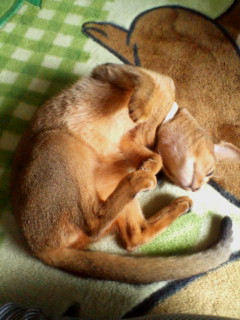 20070604_268710.jpg