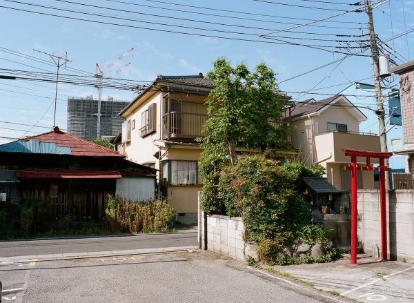 41210009.JPG